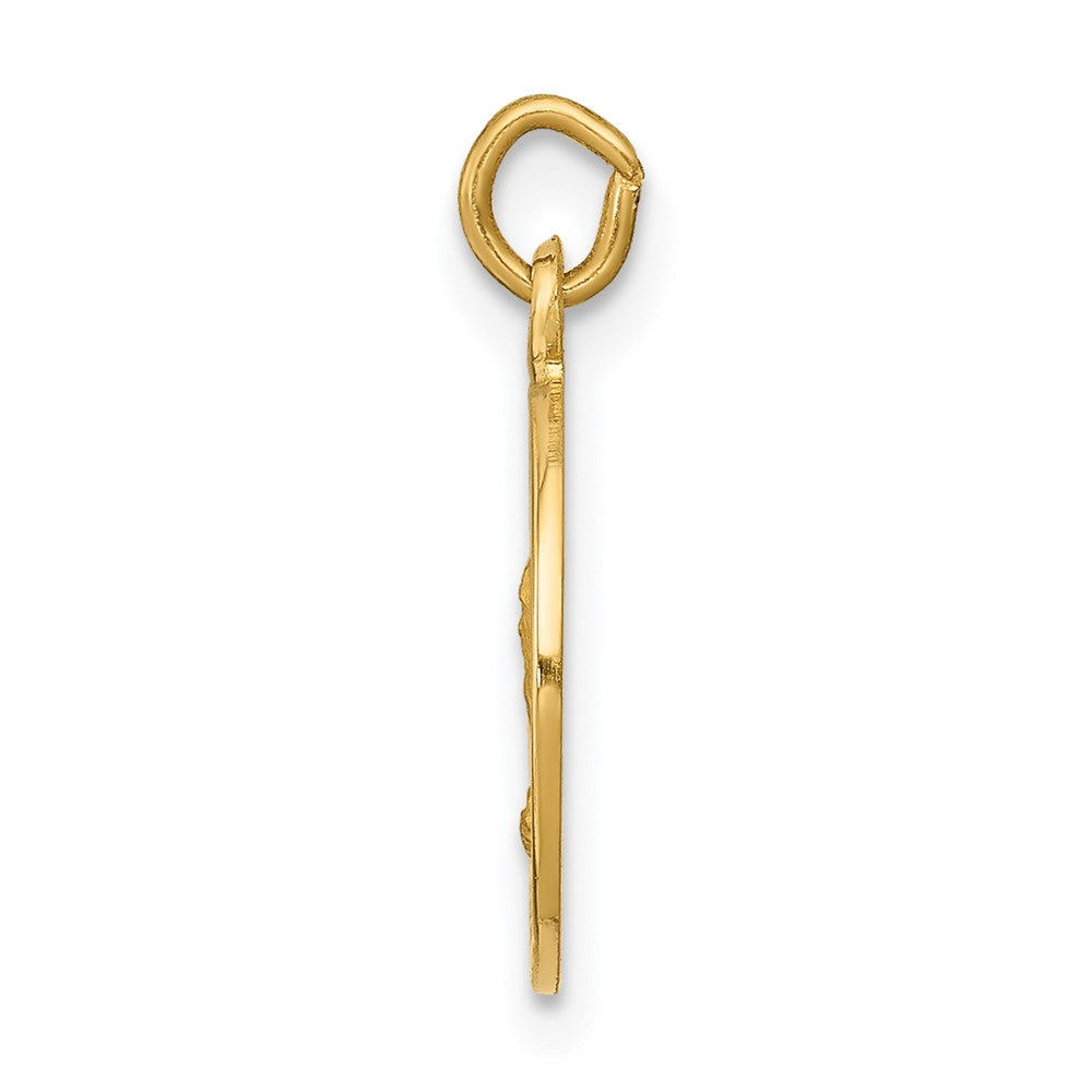Charlie & Co Jewelry | 14k Saint Andrew Medal Charm - Model XR615