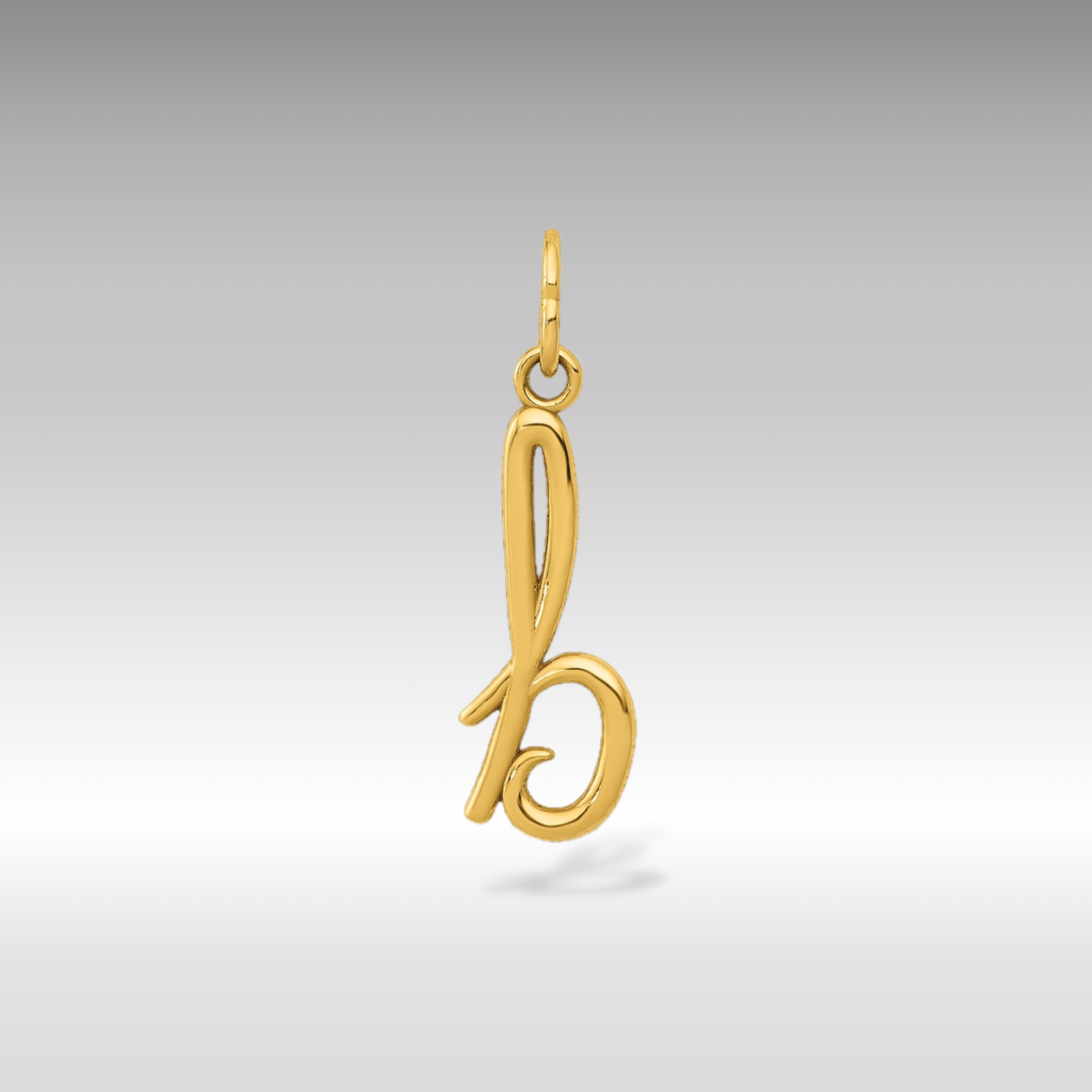 14K Gold Lowercase Initial "b" Pendant - Charlie & Co. Jewelry