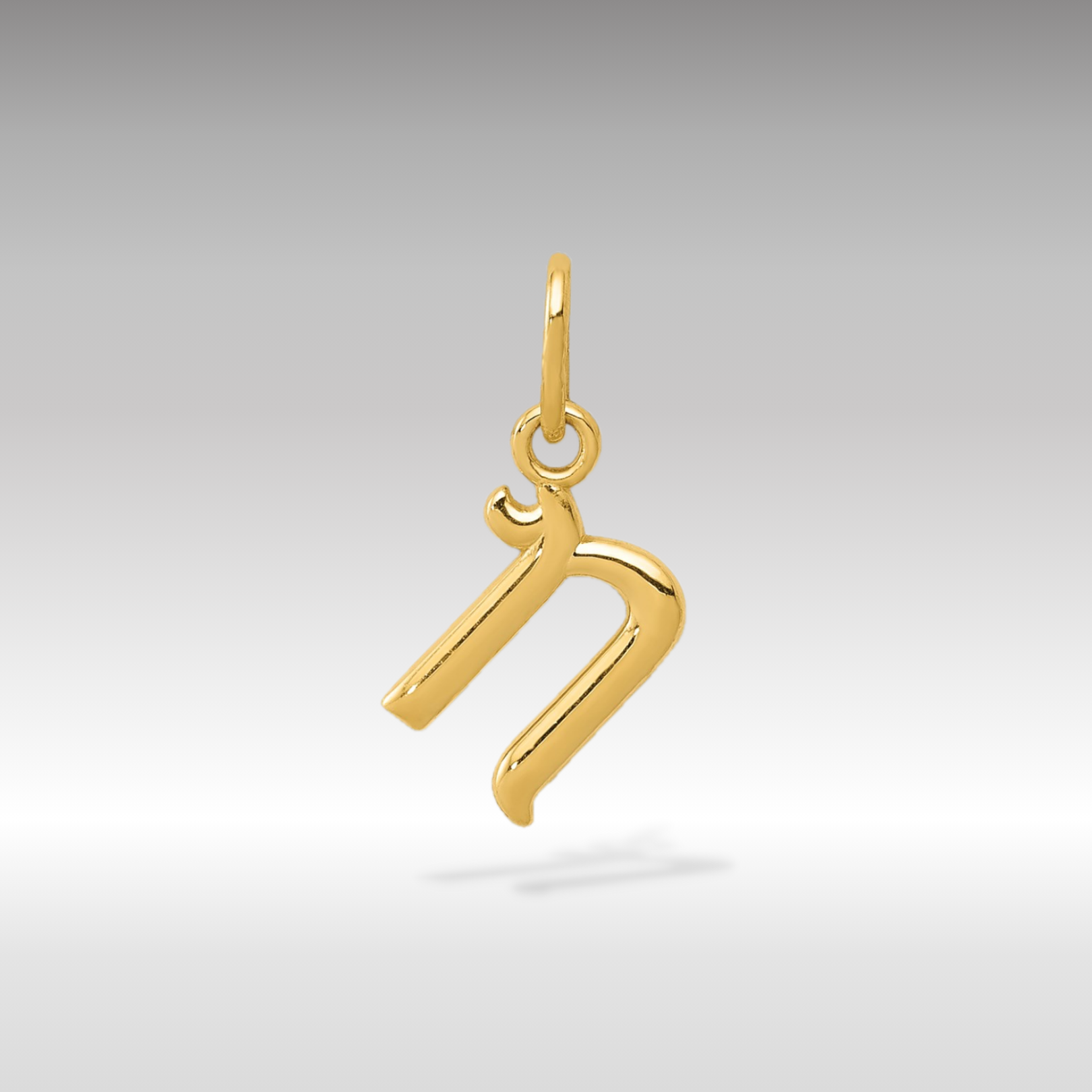 14K Gold Lowercase Initial "n" Pendant - Charlie & Co. Jewelry