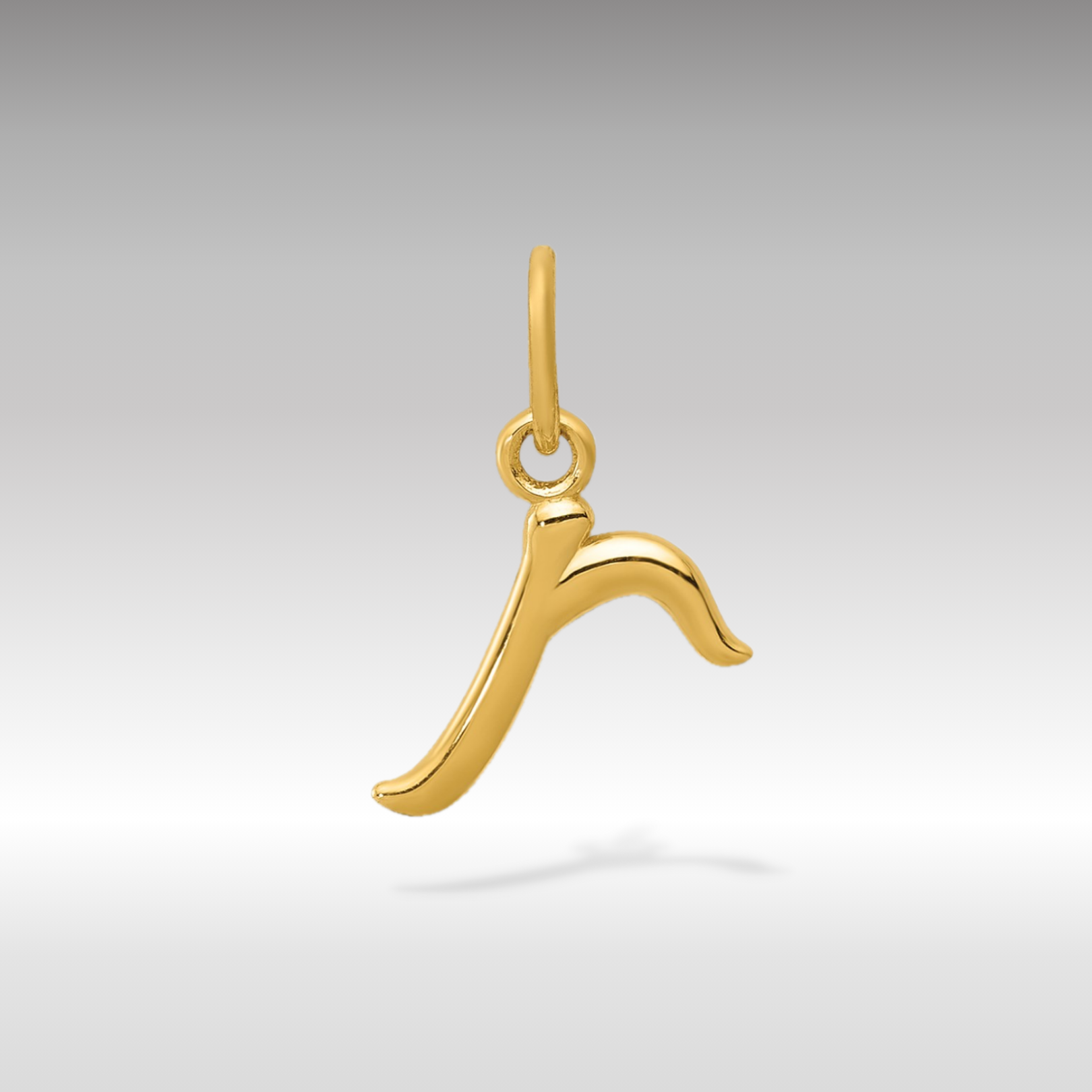 14K Gold Lowercase Initial "r" Pendant - Charlie & Co. Jewelry