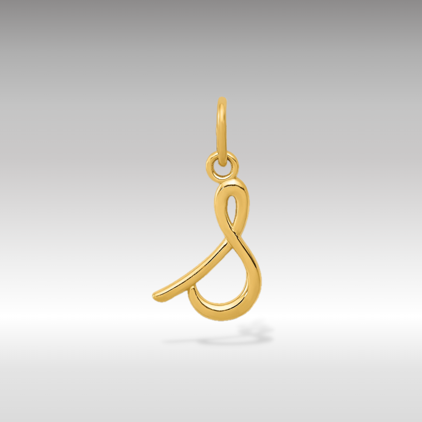14K Gold Lowercase Initial "s" Pendant - Charlie & Co. Jewelry