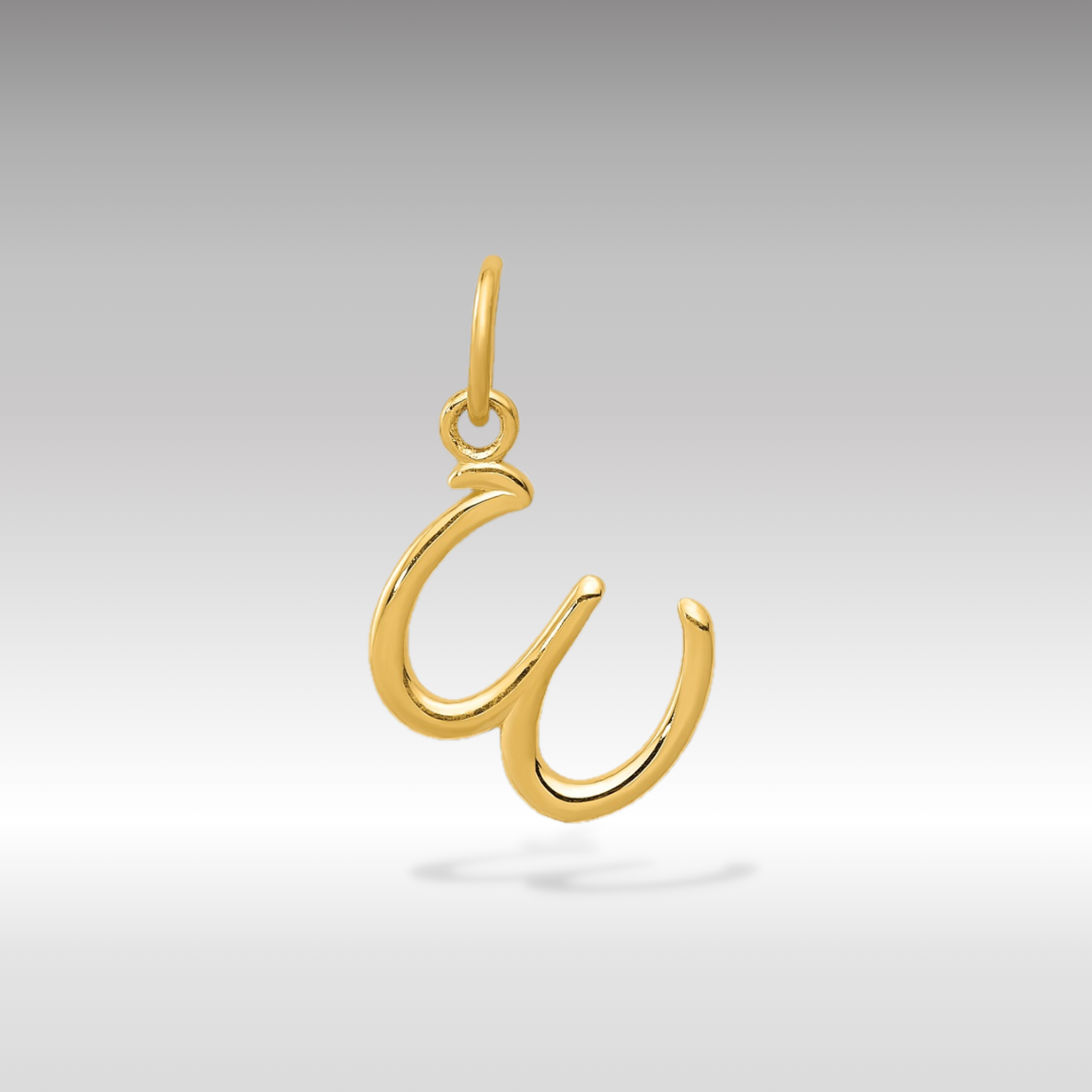 14K Gold Lowercase Initial "w" Pendant - Charlie & Co. Jewelry