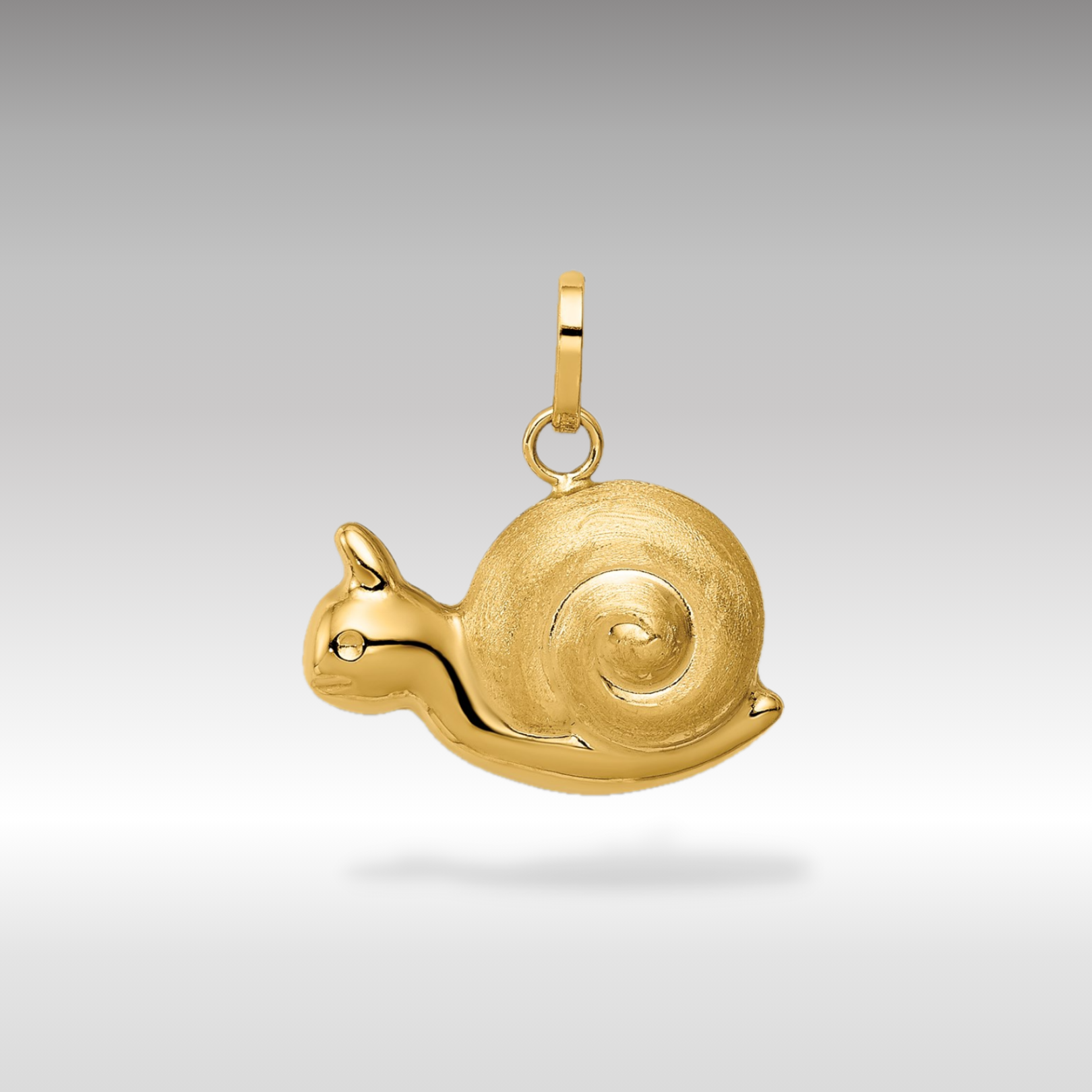 14K Gold Hollow Satin and Polished Snail Pendant - Charlie & Co. Jewelry