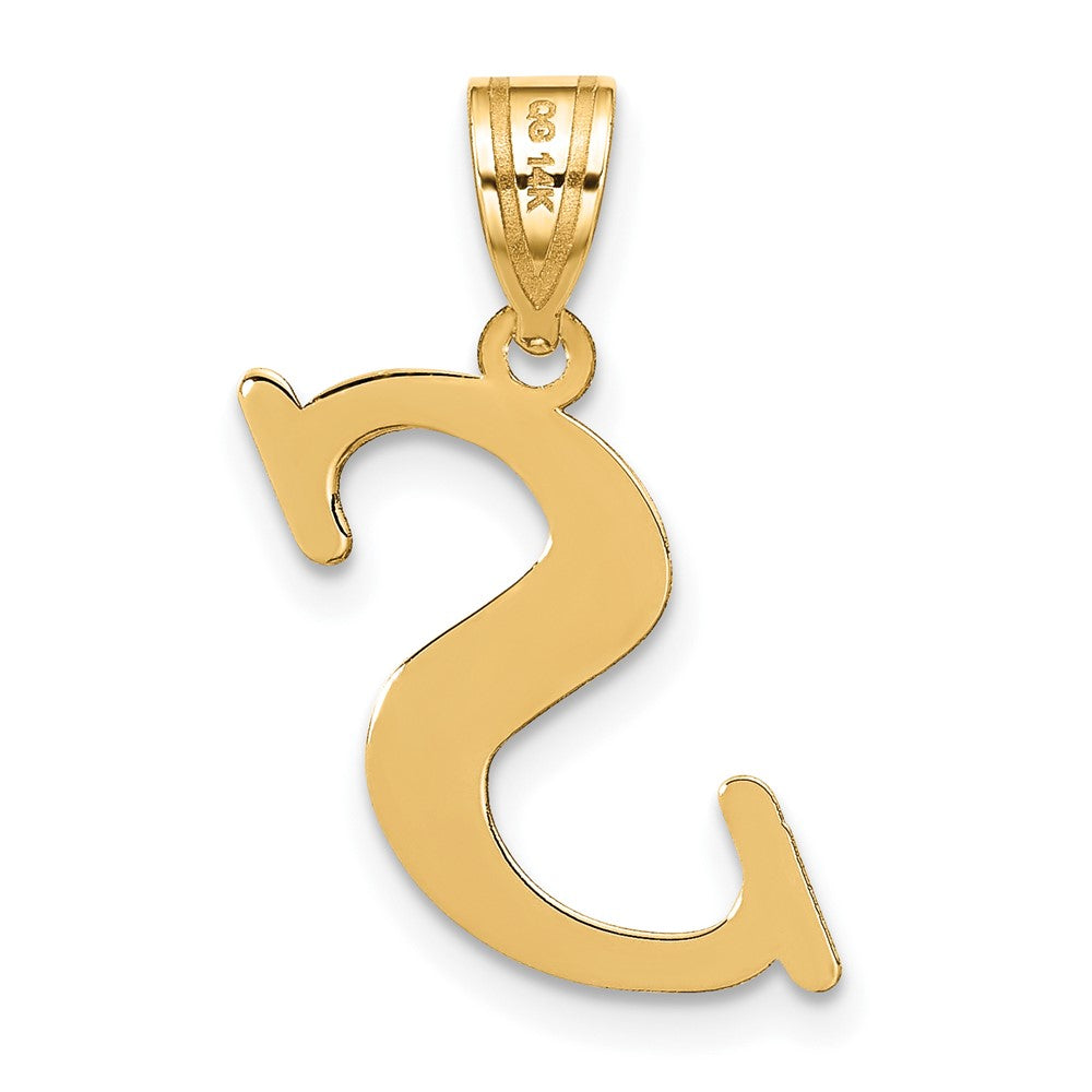 Charlie & Co Jewelry | 14k Polished Letter S Initial Pendant - Model YC1440S