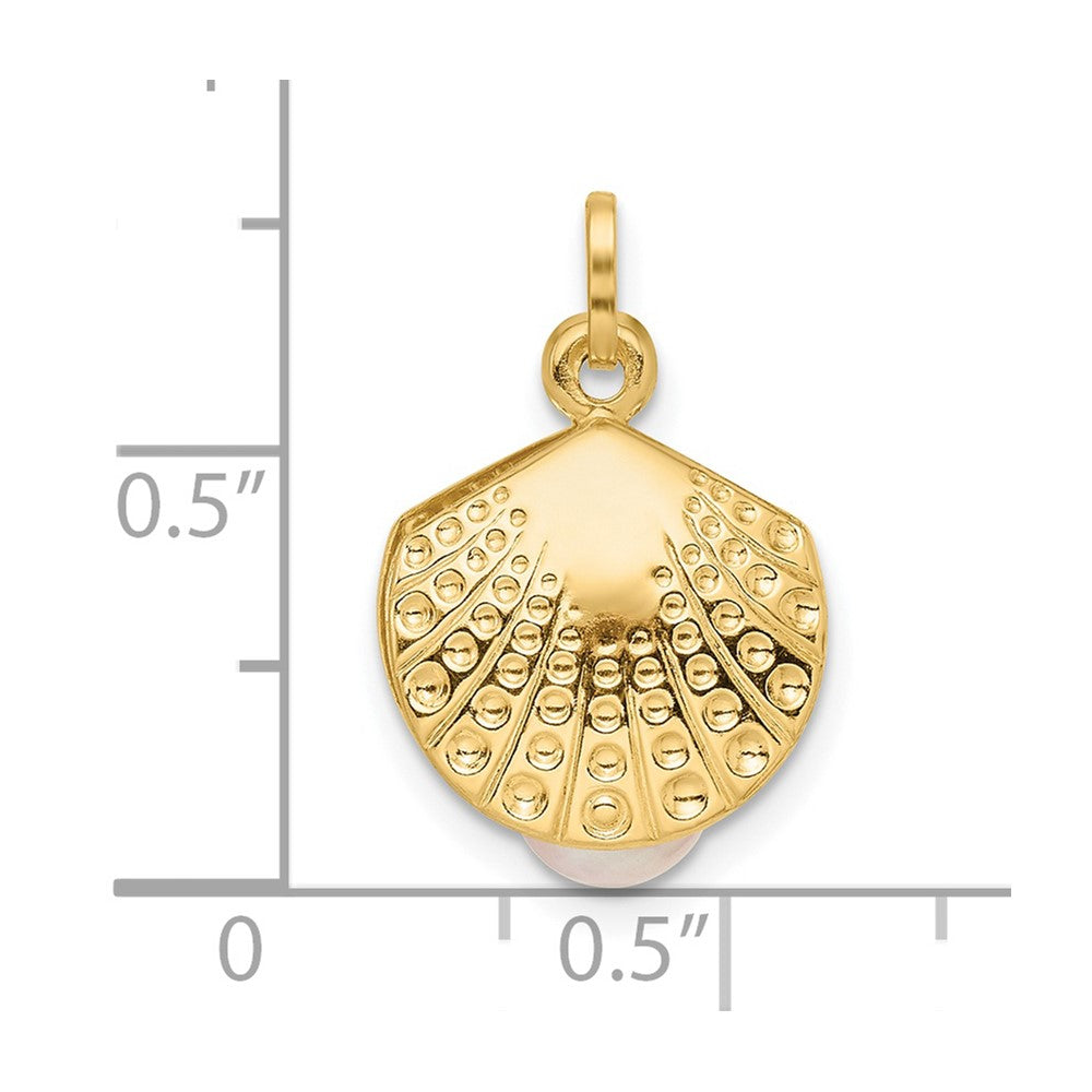 14K Gold Polished Shell Clam Pendant with Freshwater Cultured Pearl - Charlie & Co. Jewelry
