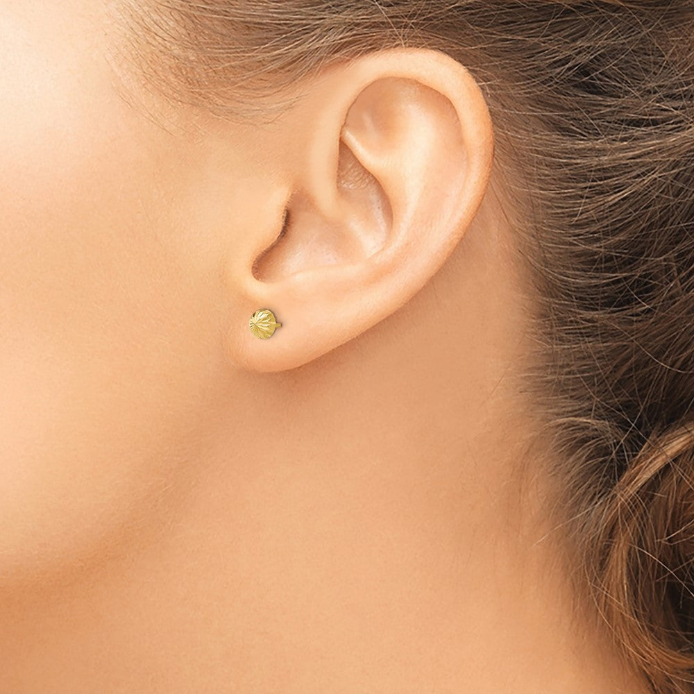 Gold Diamond-cut 5mm Domed Post Earrings - Model YE1697 - Charlie & Co. Jewelry
