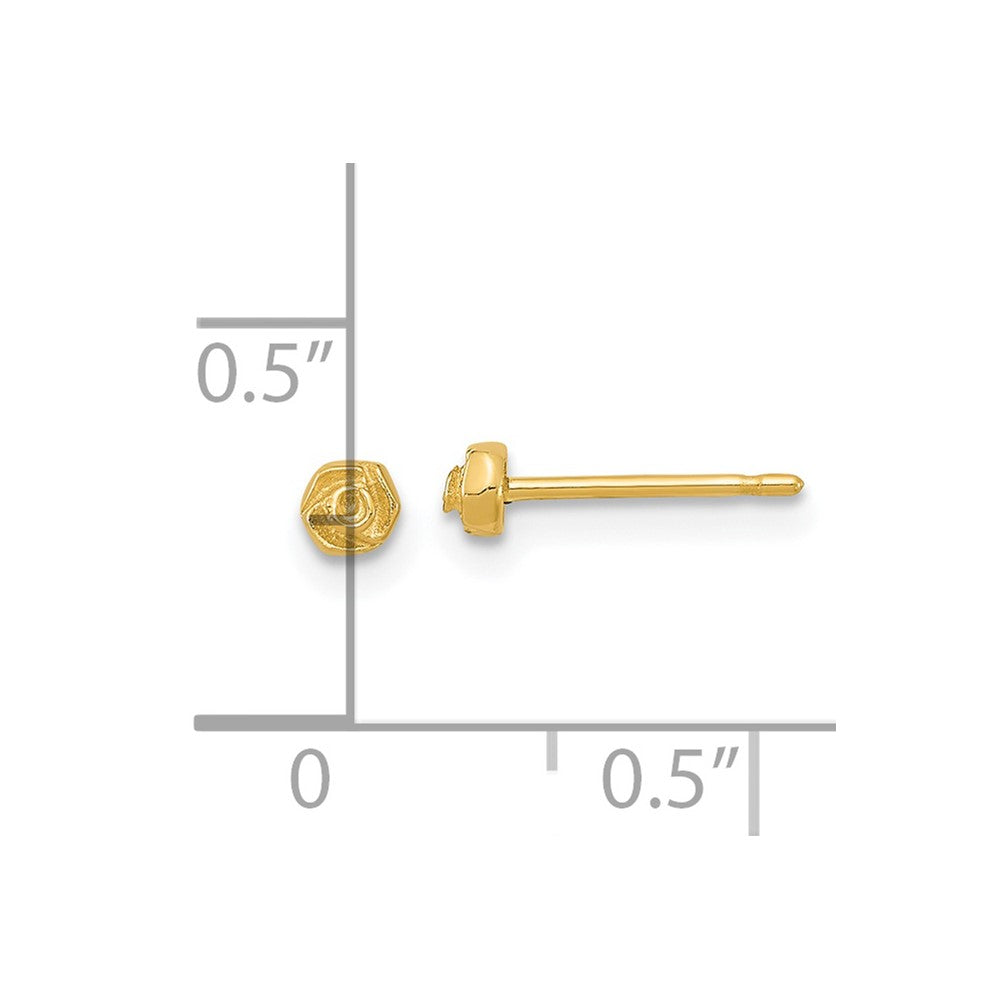 Gold Polished Rose Post Earrings - Model YE2076 - Charlie & Co. Jewelry