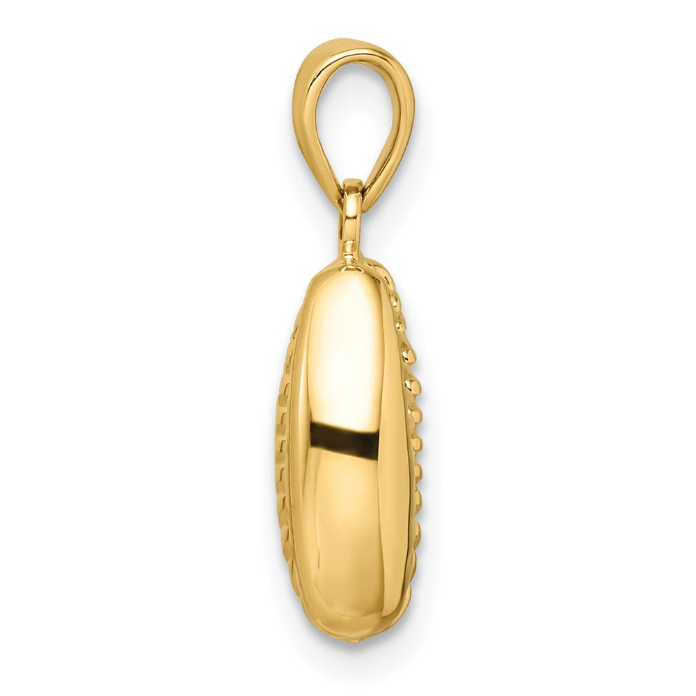 14k Polished 3d Crowrie Shell Pendant - Model K9947