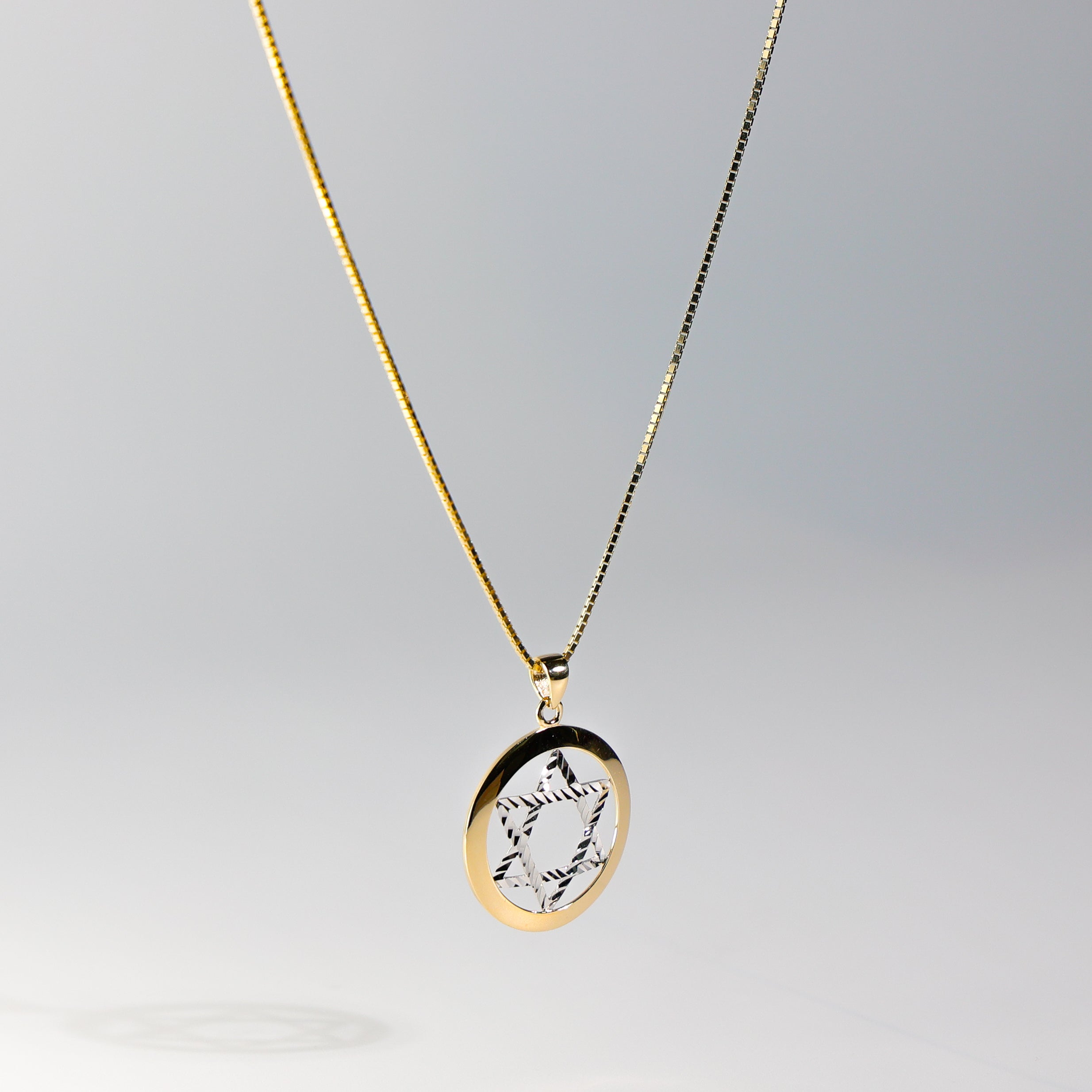 14K Gold Star of David Pendant Model-2236 - Charlie & Co. Jewelry