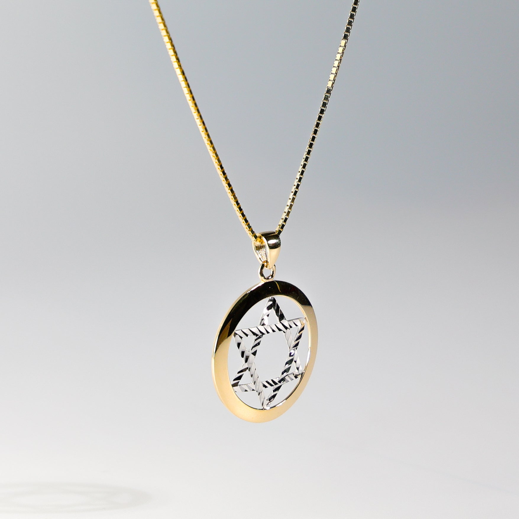 14K Gold Star of David Pendant Model-2236 - Charlie & Co. Jewelry