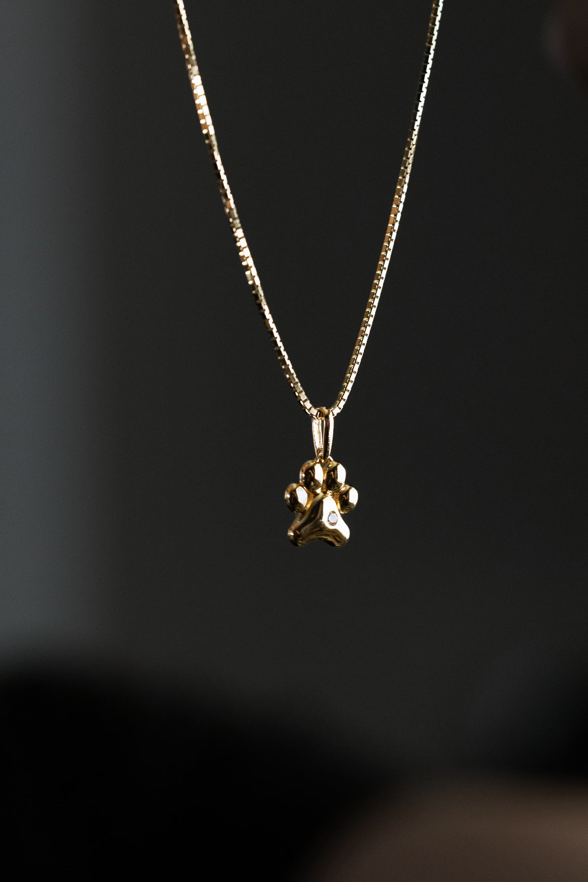 Madi K CZ Paw Print Pendant - Charlie & Co. Jewelry