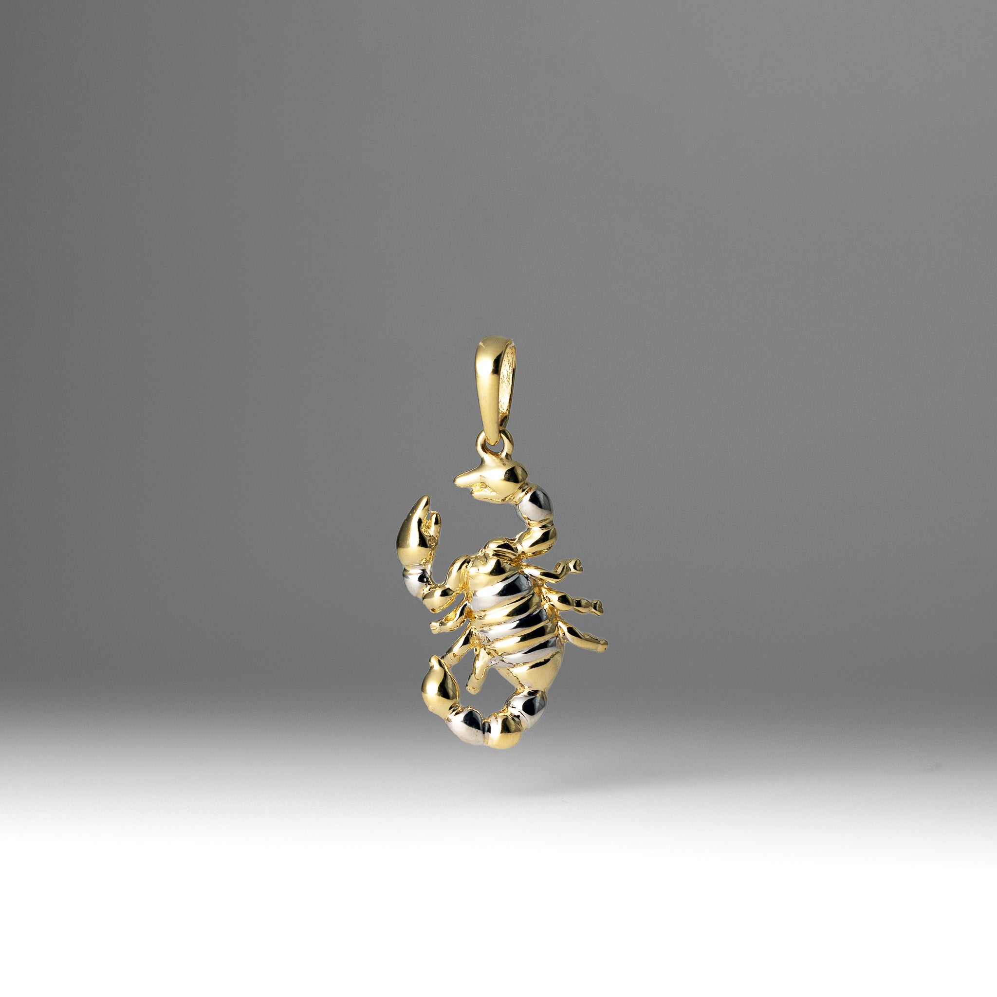 Gold Scorpion Pendant Necklace – Model 3019 - Charlie & Co. Jewelry