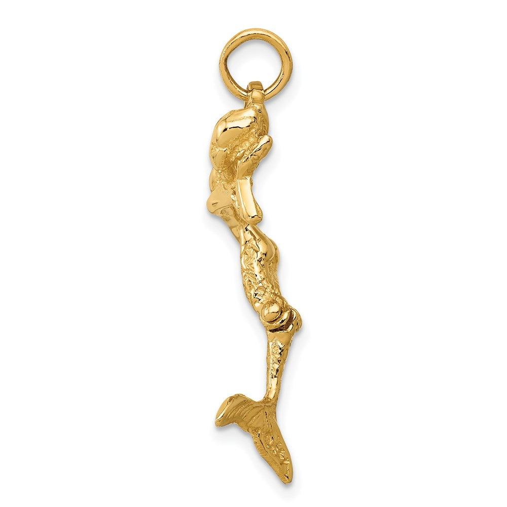 Charlie & Co Jewelry | 14k 3d Mermaid Charm - Model A0296