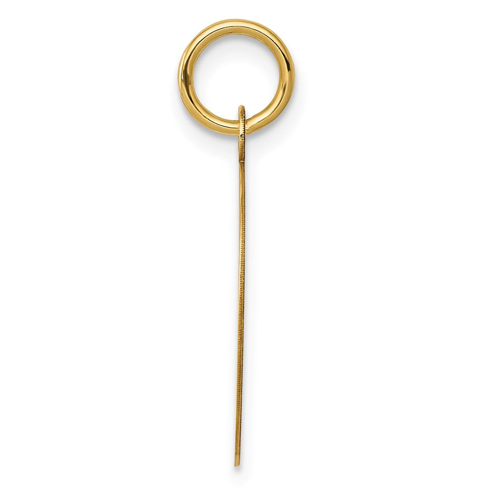 Charlie & Co Jewelry | 14k Record Album Charm - Model A0564/L
