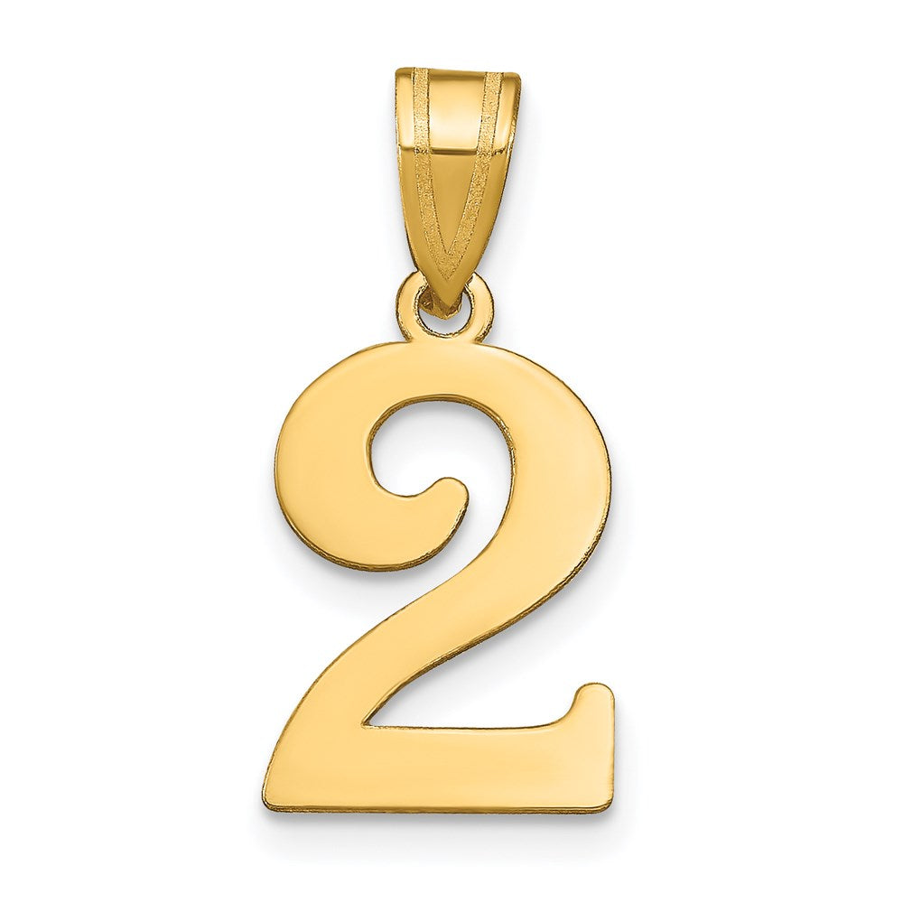 Charlie & Co Jewelry | 14k Polished Number 2 Pendant - Model APN02