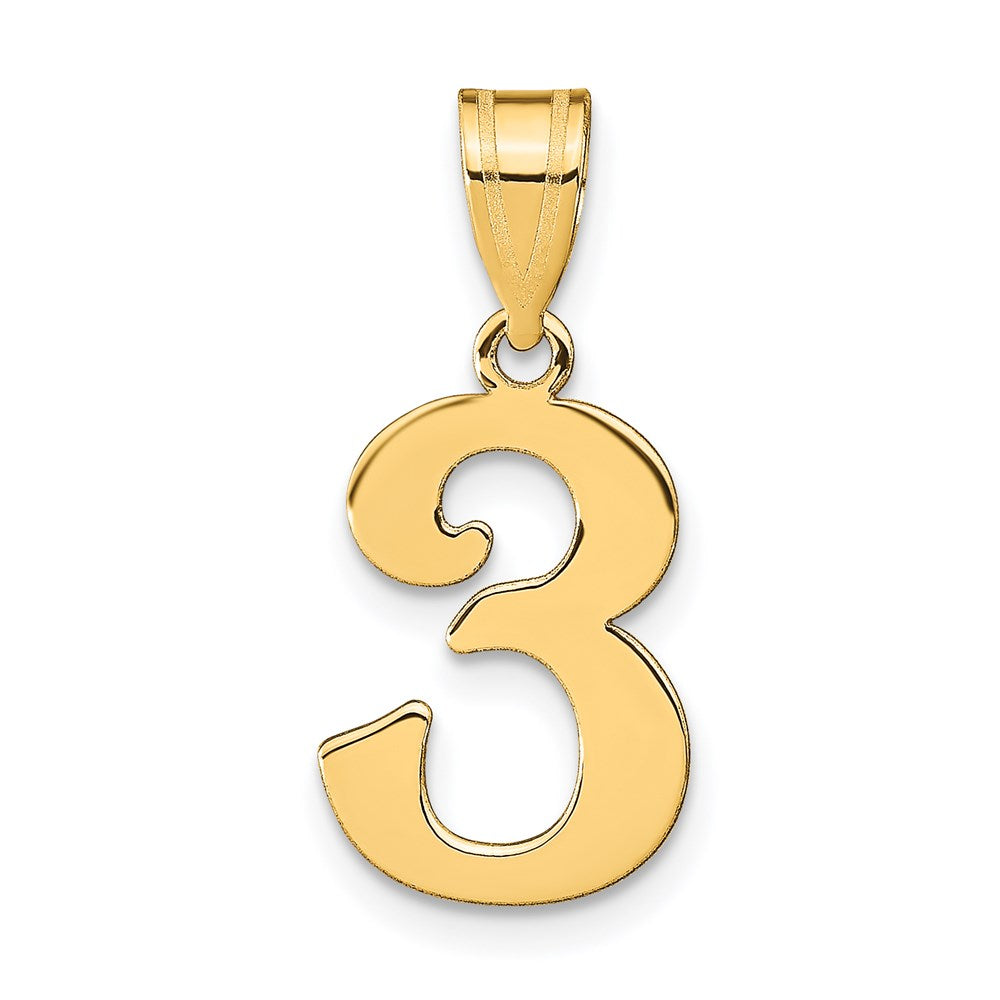 Charlie & Co Jewelry | 14k Polished Number 3 Pendant - Model APN03