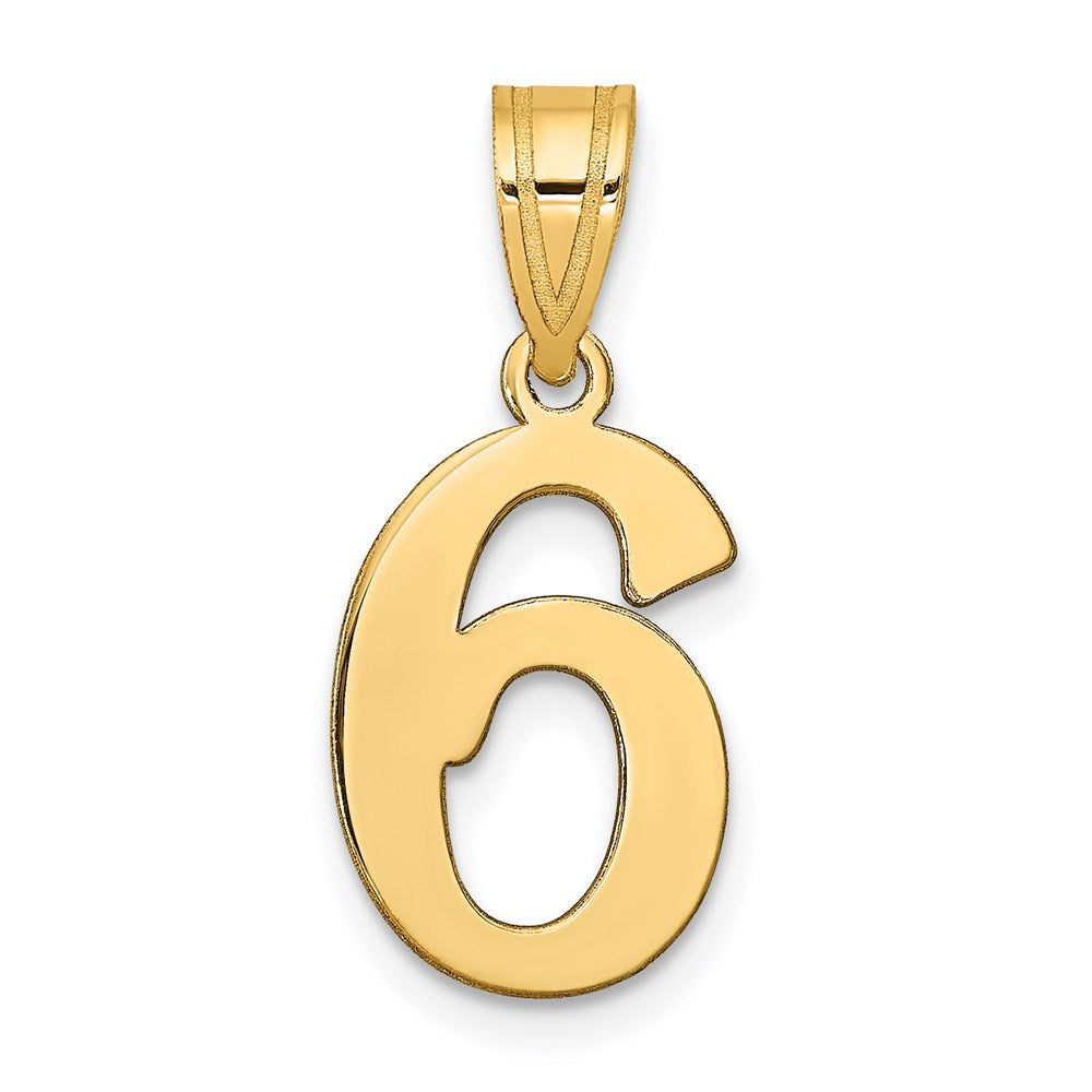 Charlie & Co Jewelry | 14k Polished Number 6 Pendant - Model APN06