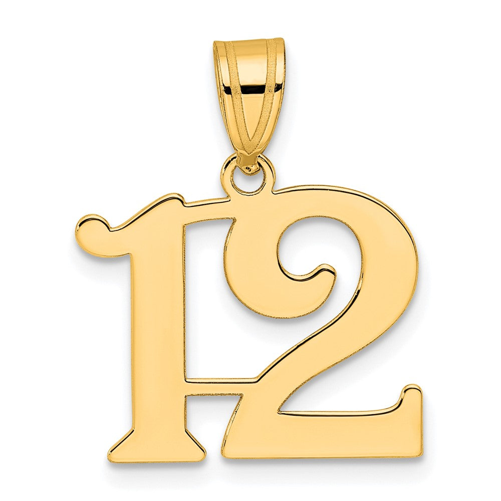 Charlie & Co Jewelry | 14k Polished Number 12 Pendant - Model APN12