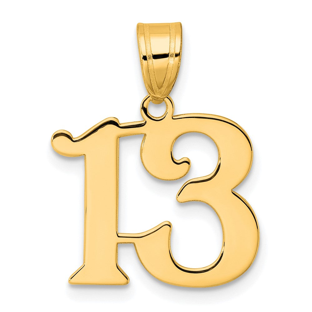 Charlie & Co Jewelry | 14k Polished Number 13 Pendant - Model APN13