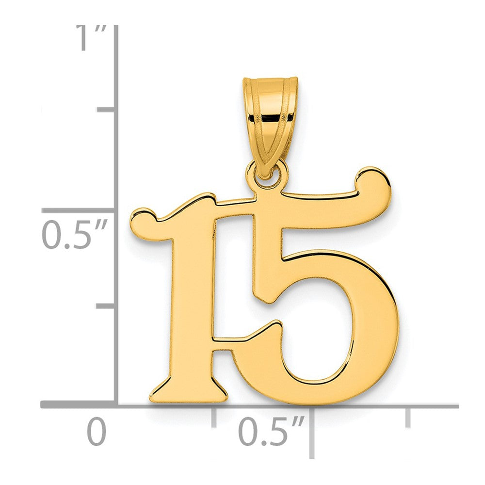 Charlie & Co Jewelry | 14k Polished Number 15 Pendant - Model APN15