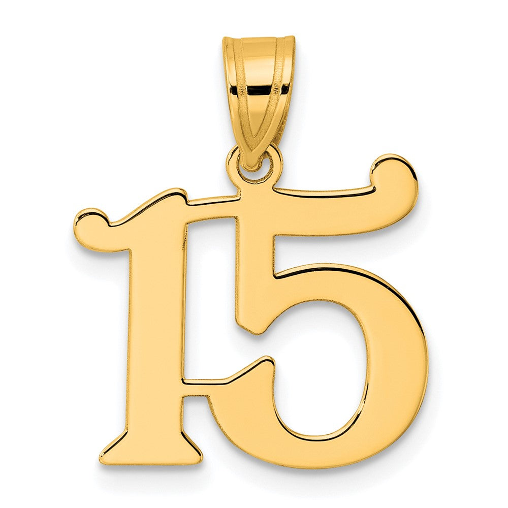 Charlie & Co Jewelry | 14k Polished Number 15 Pendant - Model APN15