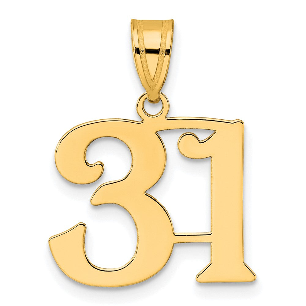 Charlie & Co Jewelry | 14k Polished Number 31 Pendant - Model APN31