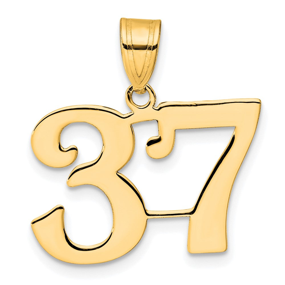 Charlie & Co Jewelry | 14k Polished Number 37 Pendant - Model APN37
