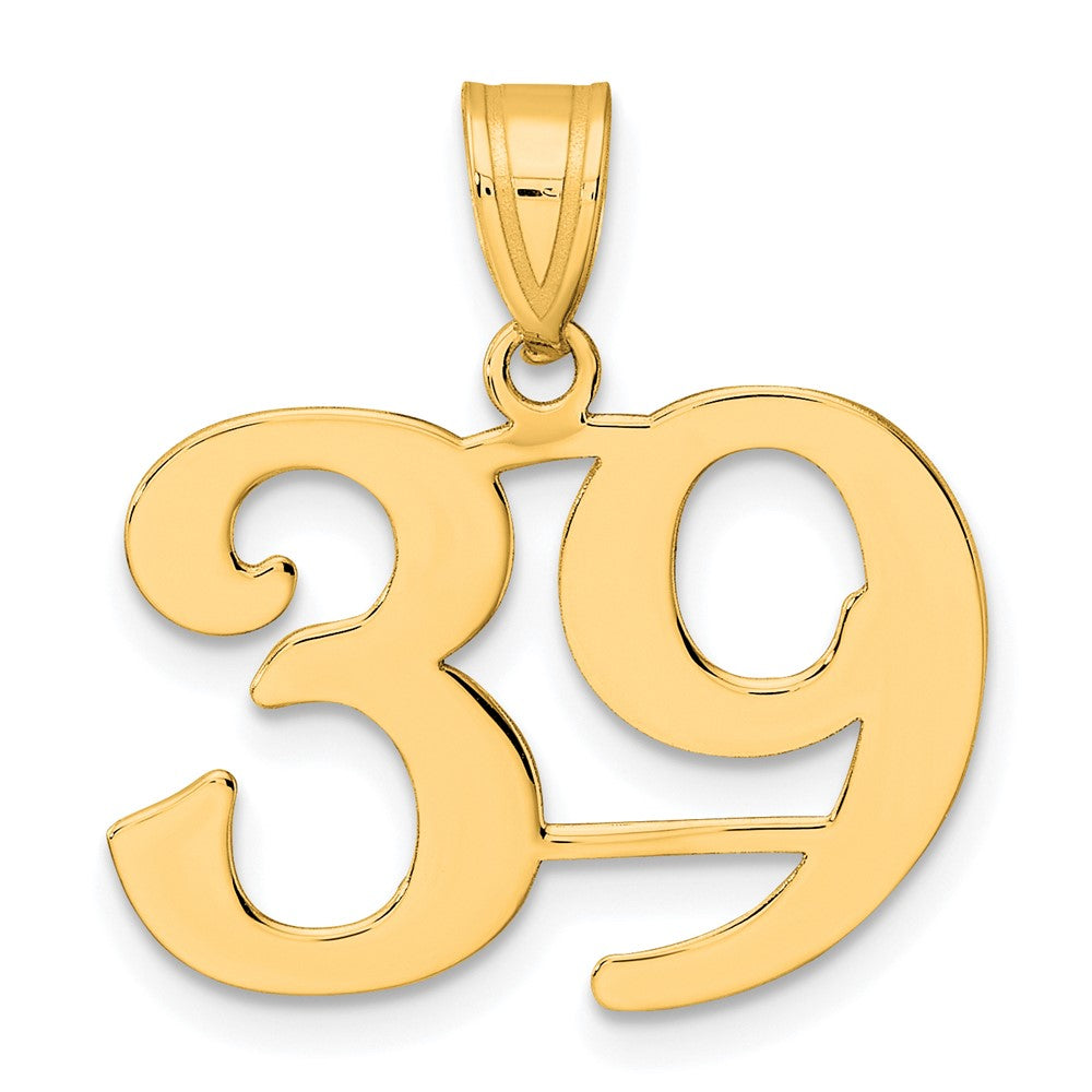 Charlie & Co Jewelry | 14k Polished Number 39 Pendant - Model APN39