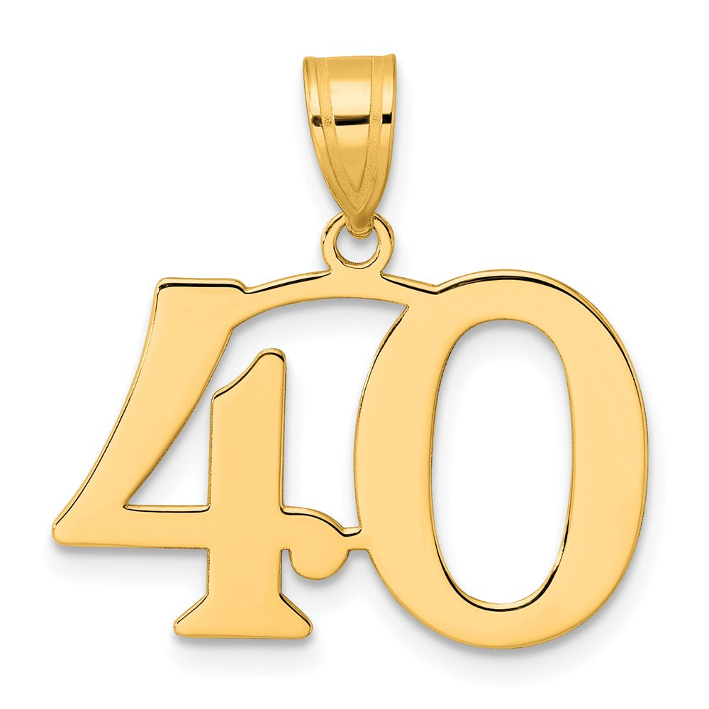 Charlie & Co Jewelry | 14k Polished Number 40 Pendant - Model APN40