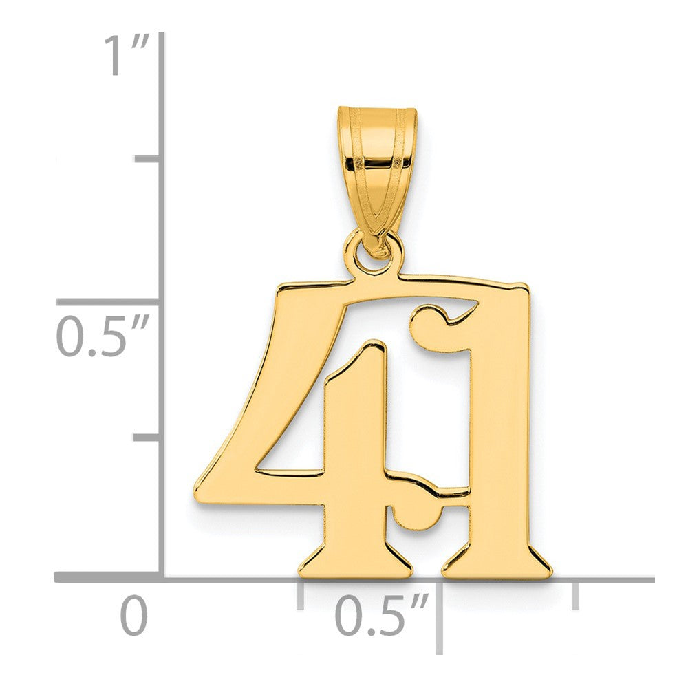 Charlie & Co Jewelry | 14k Polished Number 41 Pendant - Model APN41