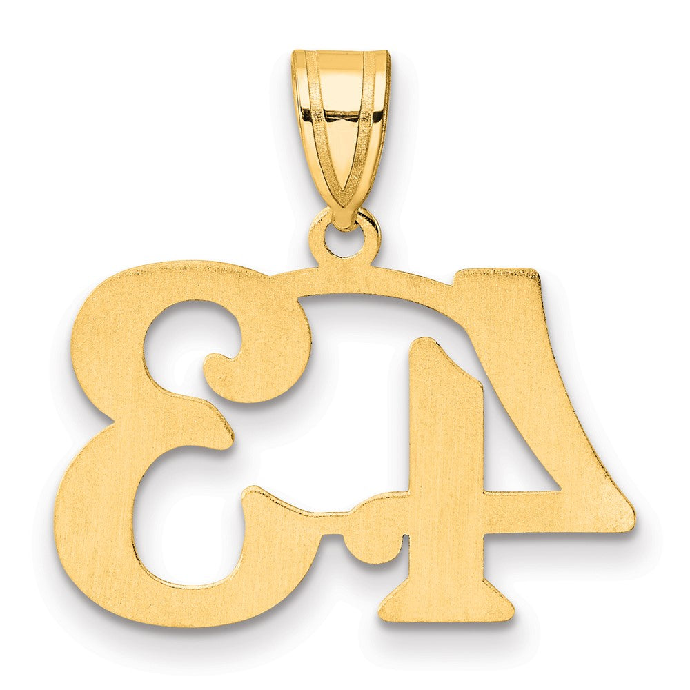 Charlie & Co Jewelry | 14k Polished Number 43 Pendant - Model APN43