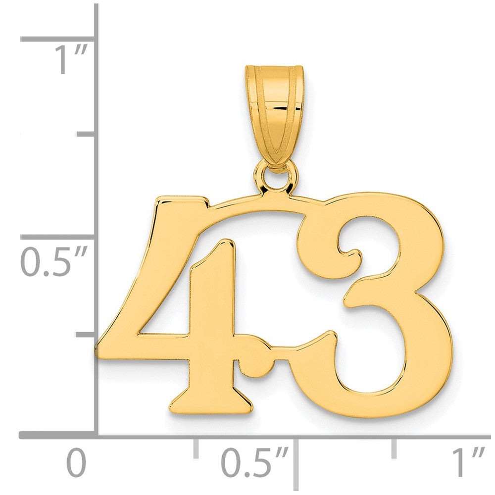 Charlie & Co Jewelry | 14k Polished Number 43 Pendant - Model APN43