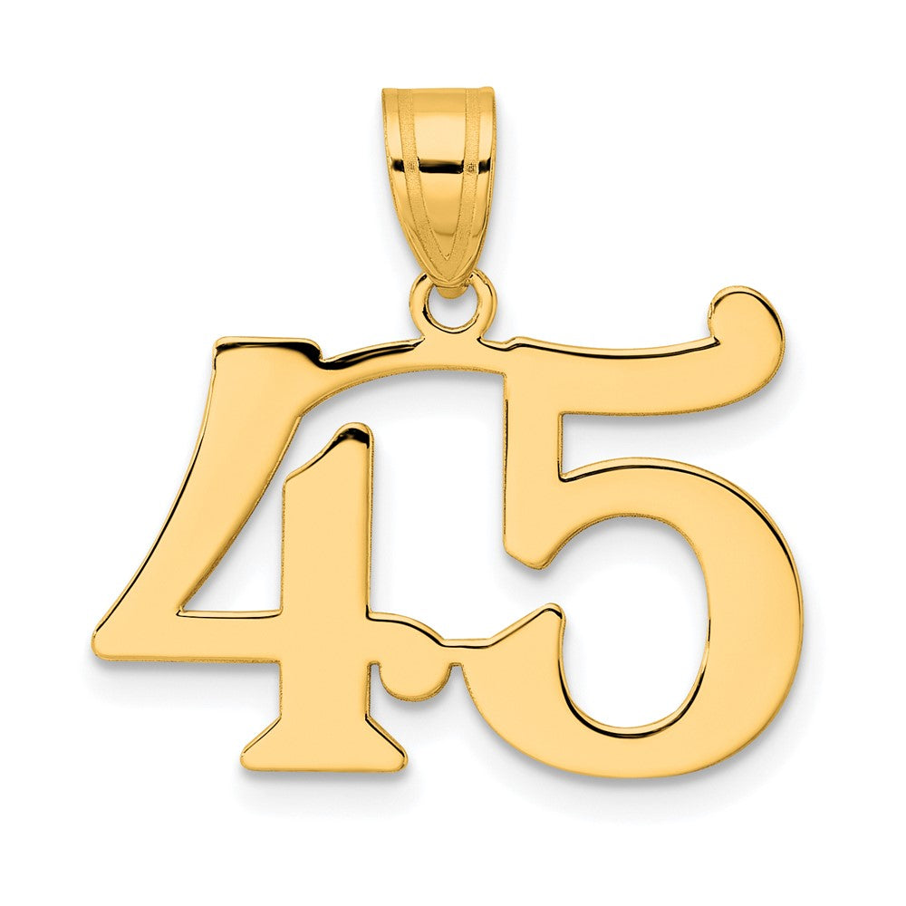 Charlie & Co Jewelry | 14k Polished Number 45 Pendant - Model APN45