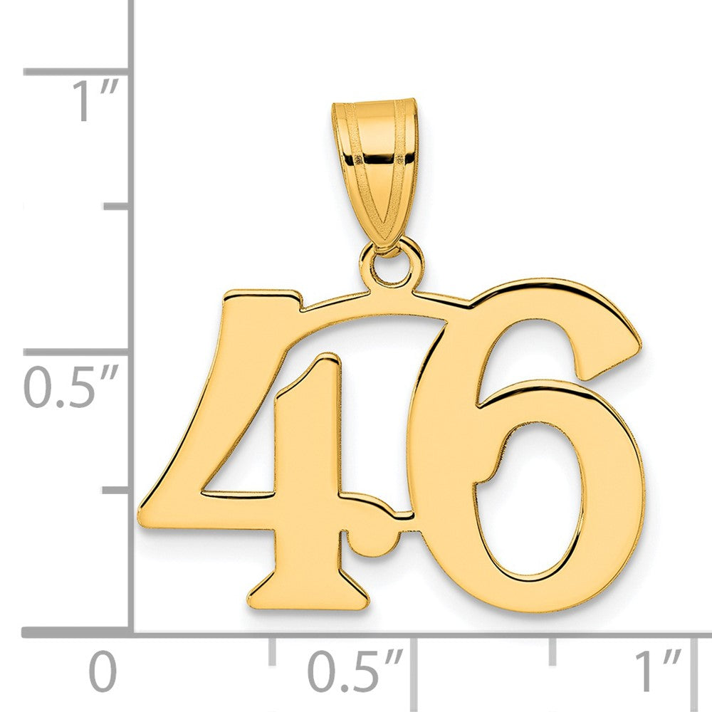 Charlie & Co Jewelry | 14k Polished Number 46 Pendant - Model APN46