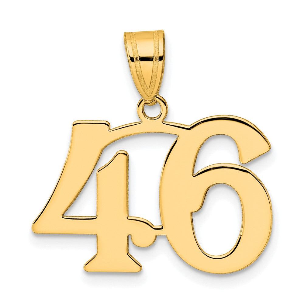 Charlie & Co Jewelry | 14k Polished Number 46 Pendant - Model APN46