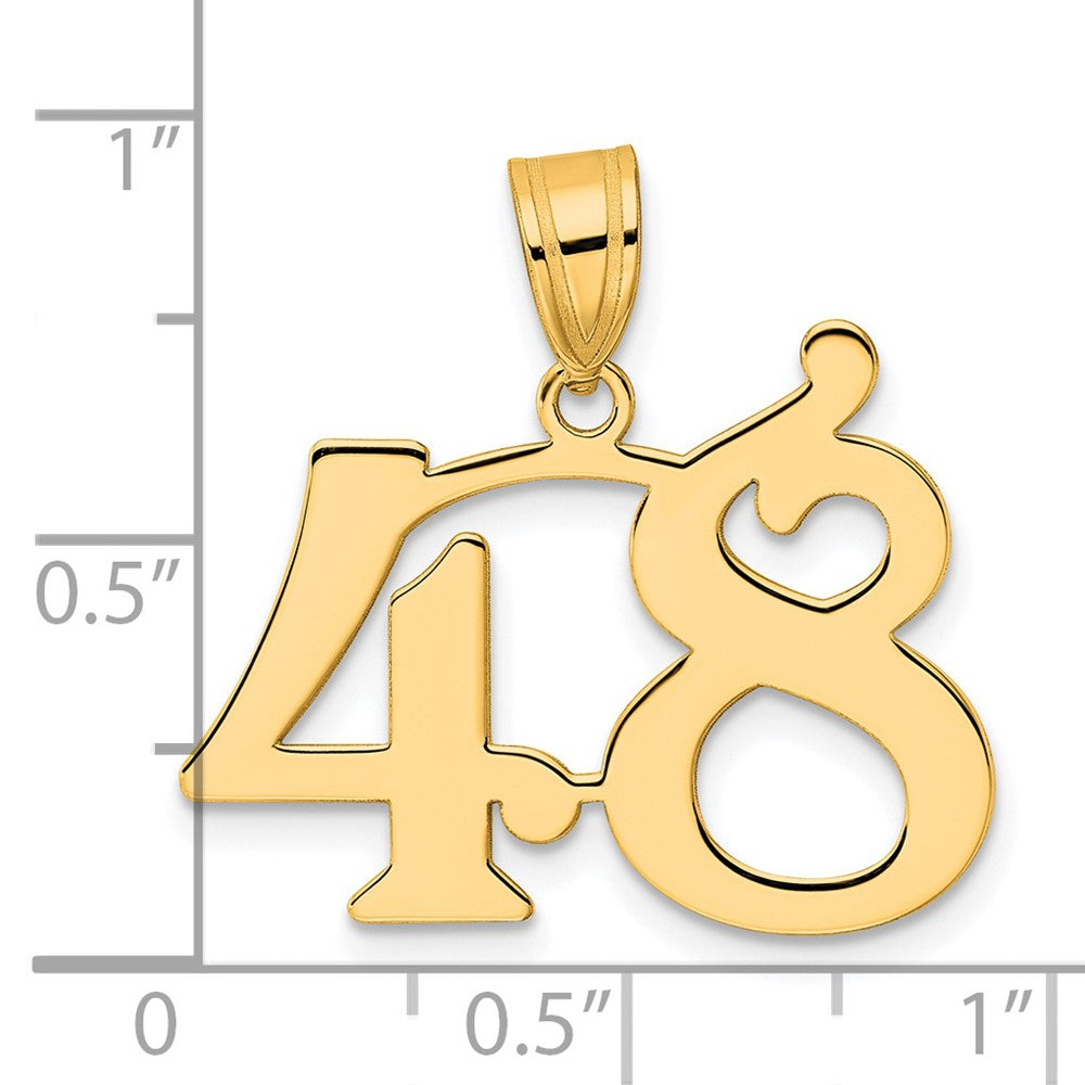 Charlie & Co Jewelry | 14k Polished Number 48 Pendant - Model APN48