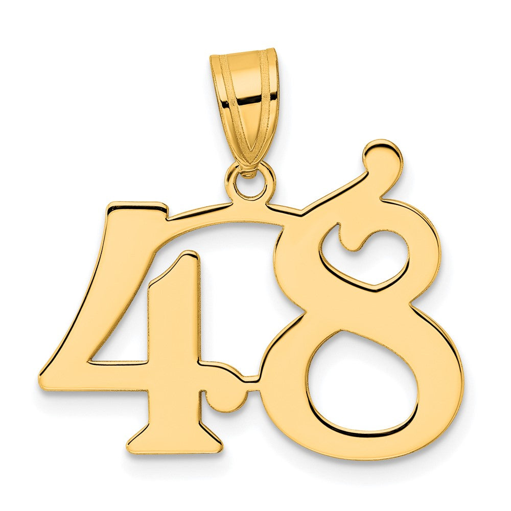 Charlie & Co Jewelry | 14k Polished Number 48 Pendant - Model APN48