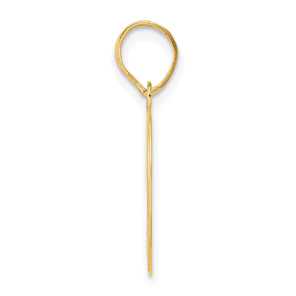 Charlie & Co Jewelry | 14k Polished Number 49 Pendant - Model APN49