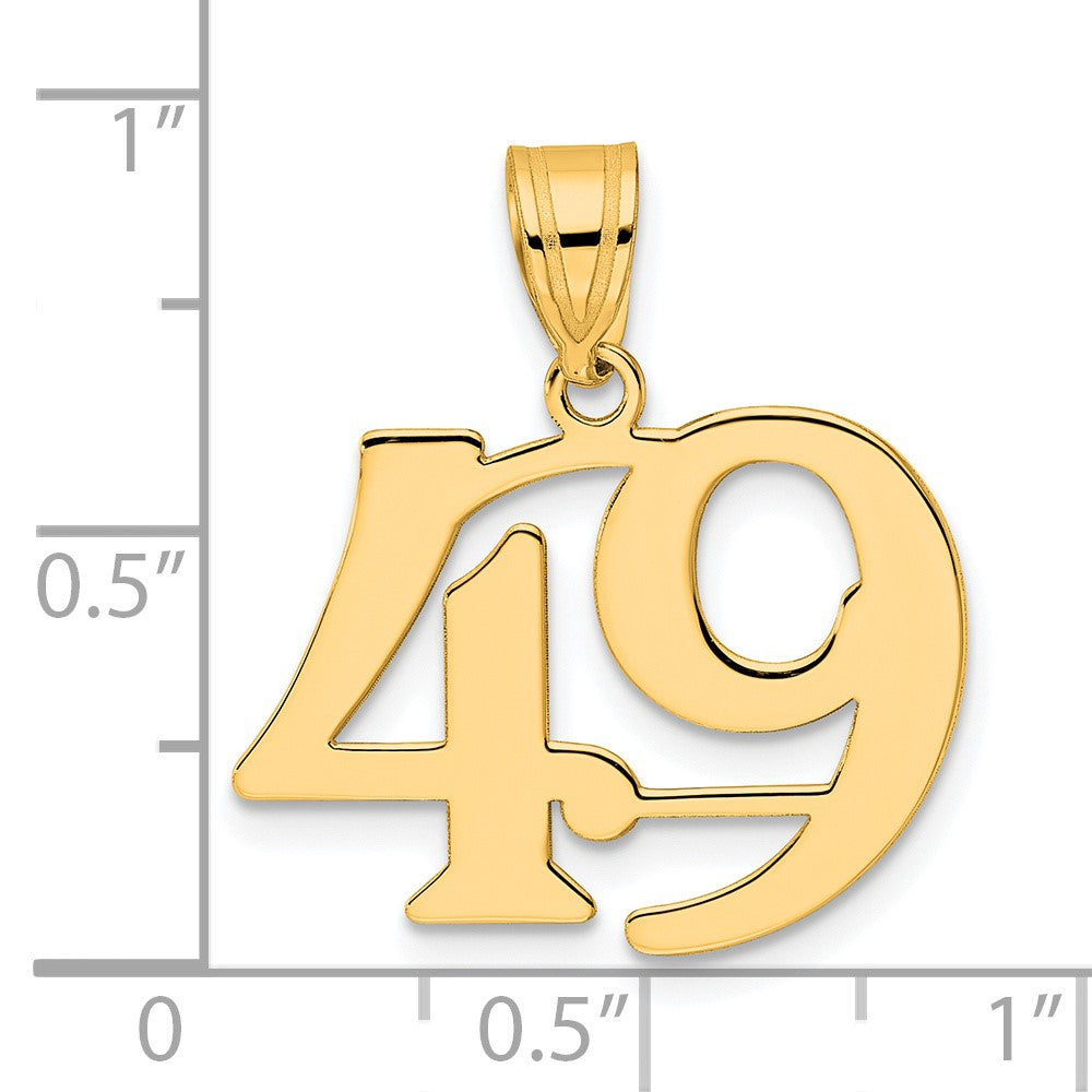 Charlie & Co Jewelry | 14k Polished Number 49 Pendant - Model APN49