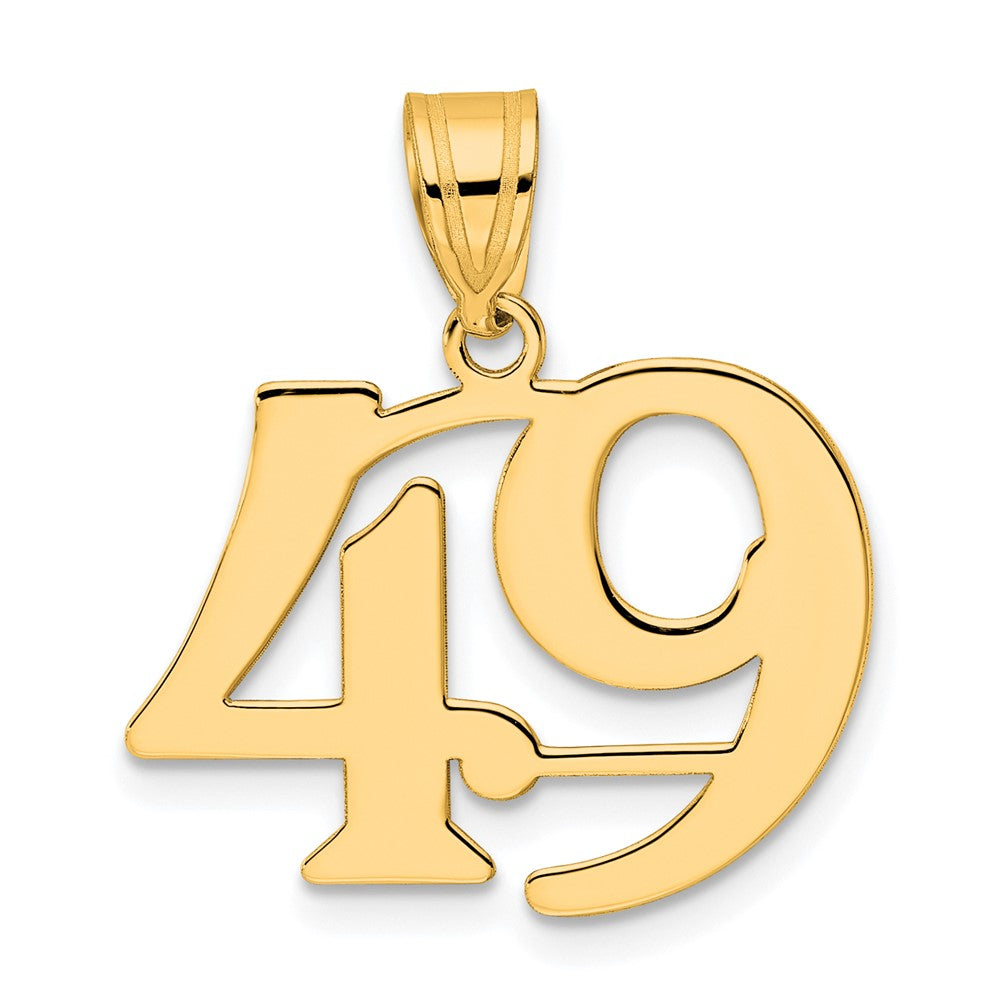 Charlie & Co Jewelry | 14k Polished Number 49 Pendant - Model APN49