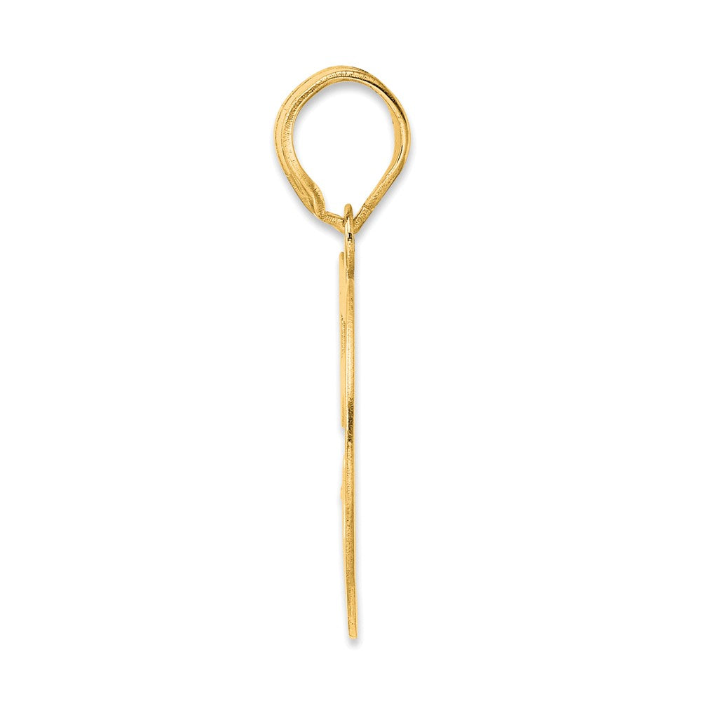 Charlie & Co Jewelry | 14k Polished Number 59 Pendant - Model APN59