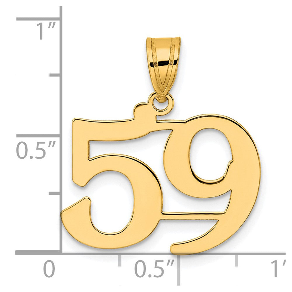 Charlie & Co Jewelry | 14k Polished Number 59 Pendant - Model APN59