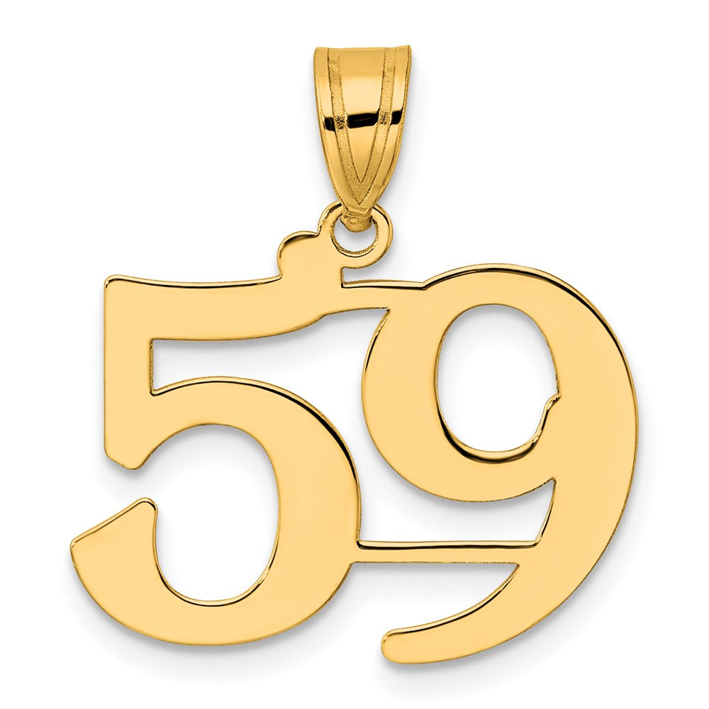 Charlie & Co Jewelry | 14k Polished Number 59 Pendant - Model APN59