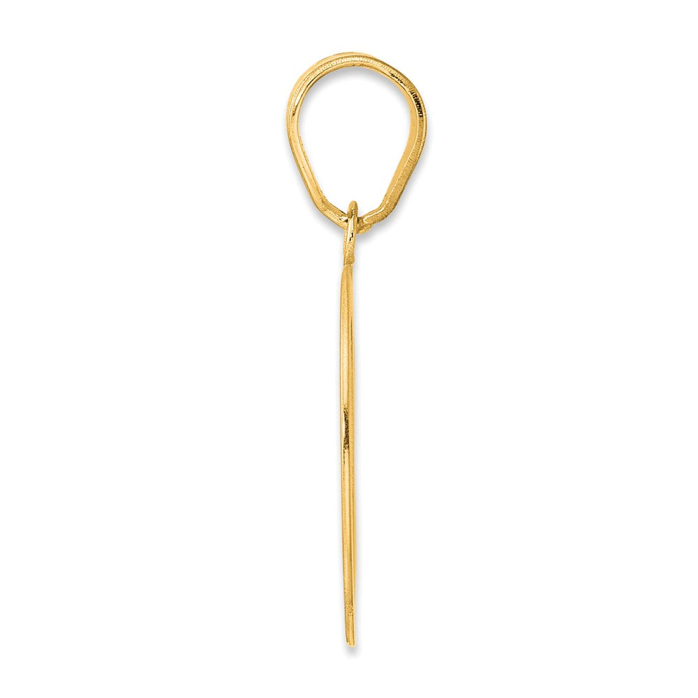 Charlie & Co Jewelry | 14k Polished Number 60 Pendant - Model APN60