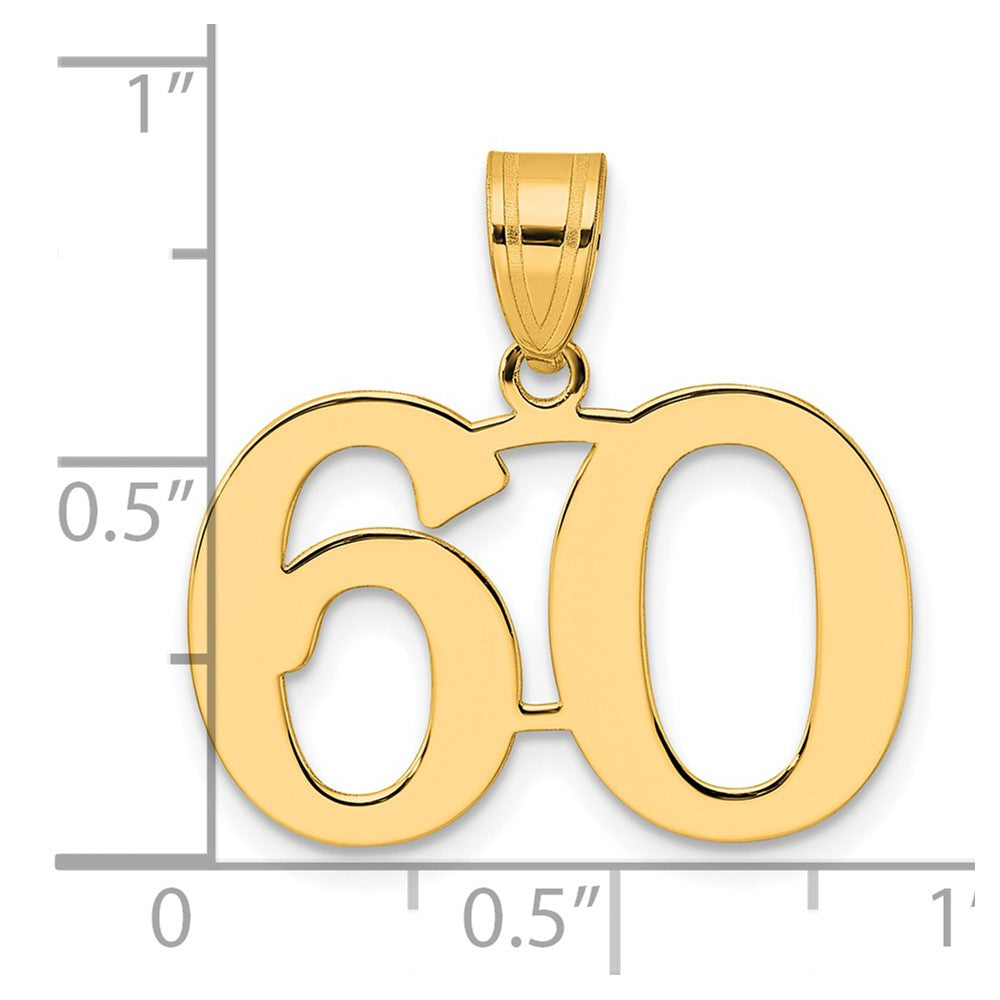 Charlie & Co Jewelry | 14k Polished Number 60 Pendant - Model APN60