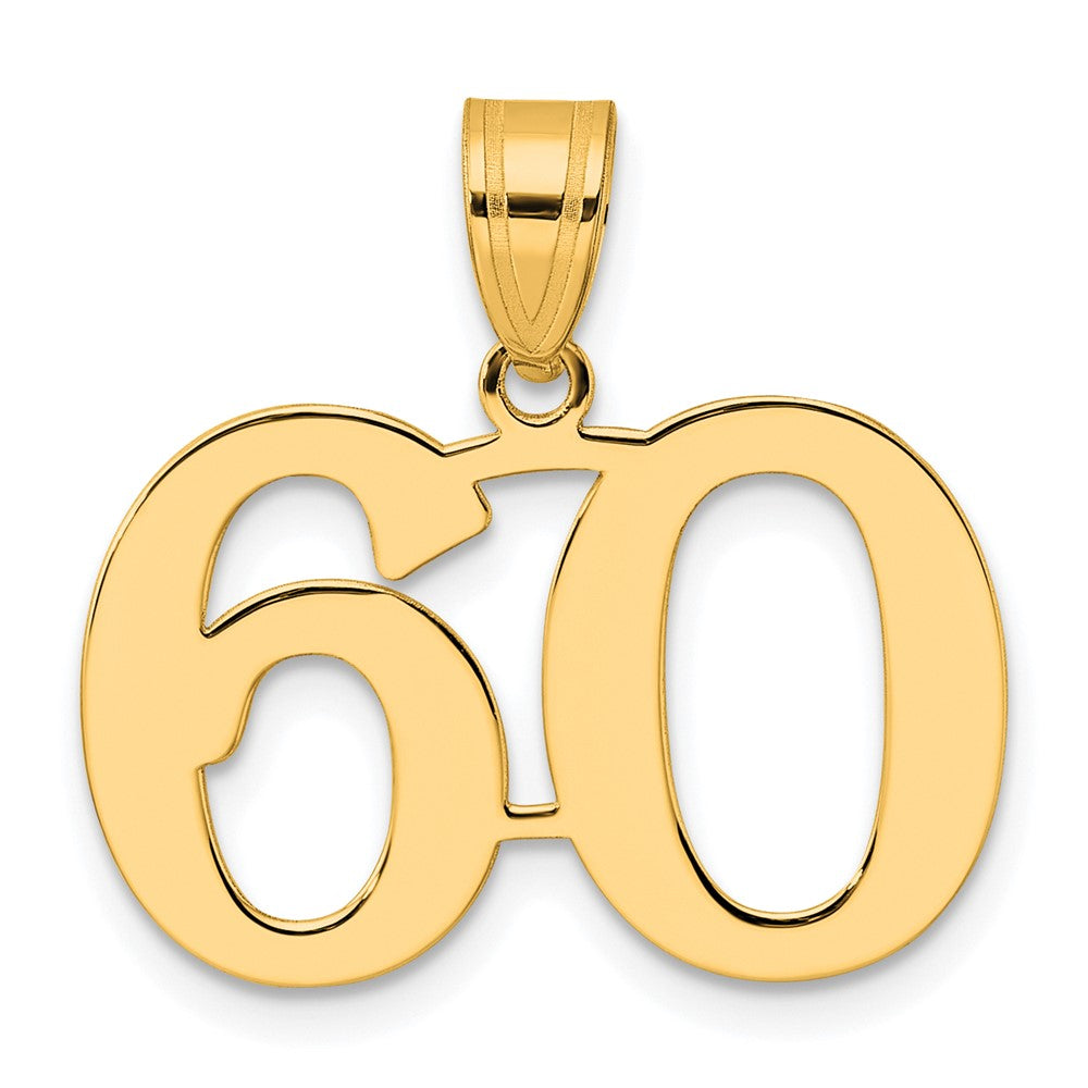Charlie & Co Jewelry | 14k Polished Number 60 Pendant - Model APN60