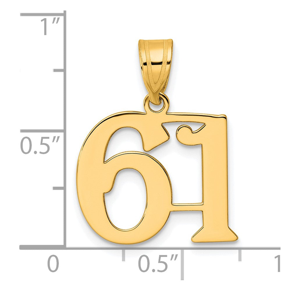 Charlie & Co Jewelry | 14k Polished Number 61 Pendant - Model APN61