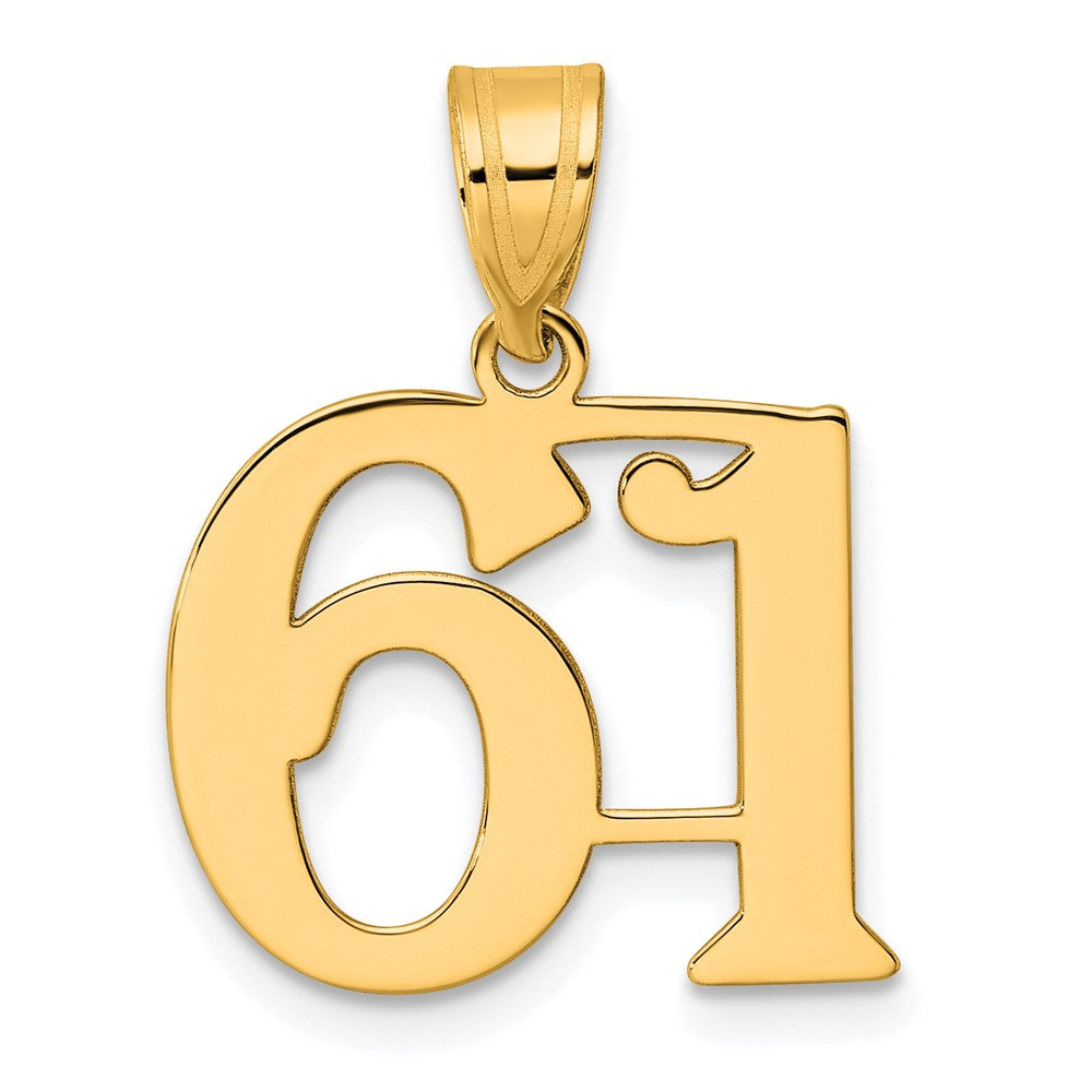 Charlie & Co Jewelry | 14k Polished Number 61 Pendant - Model APN61