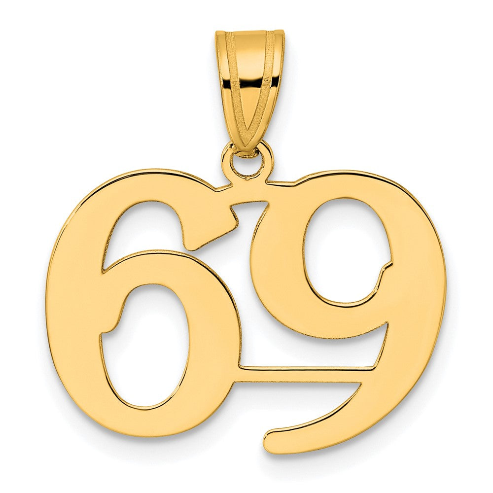 Charlie & Co Jewelry | 14k Polished Number 69 Pendant - Model APN69