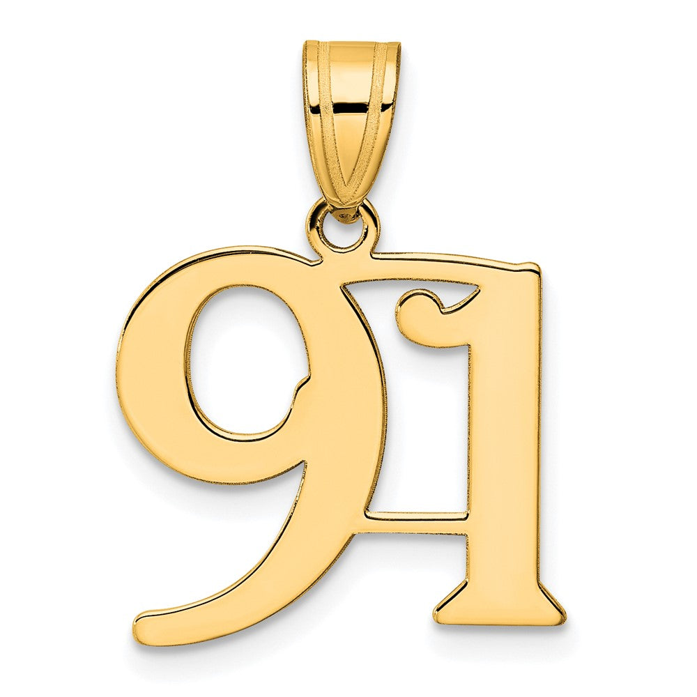 Charlie & Co Jewelry | 14k Polished Number 91 Pendant - Model APN91